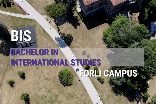 BIS - Bachelor in International Studies