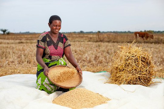 One Health Europa-Africa Summit sulla salute pubblica veterinaria e la sicurezza alimentare One Health Europa-Africa Summit sulla salute pubblica veterinaria e la sicurezza alimentare